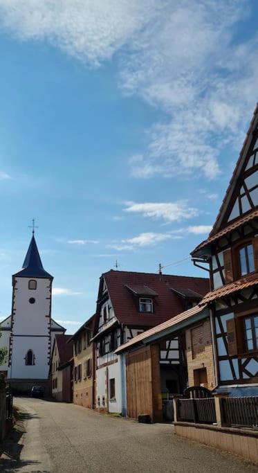 Alsace Bas-Rhin Logis Independant Avec Piscine Privee Appartement Alteckendorf Buitenkant foto